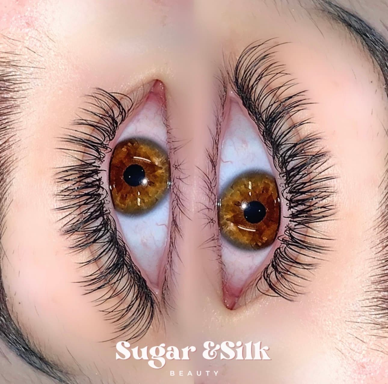 Full Set Classic Lashes
